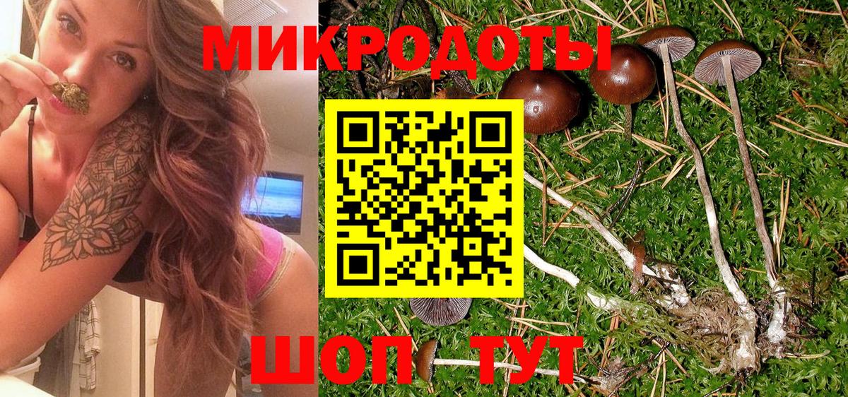 Воронеж  Галлюциногенные грибы мухоморы  Вход с VPN  Псилоцибиновые грибы GOLDEN TEACHER 
