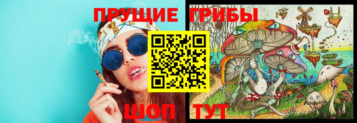 Галлюциногенные грибы Cubensis Воронеж